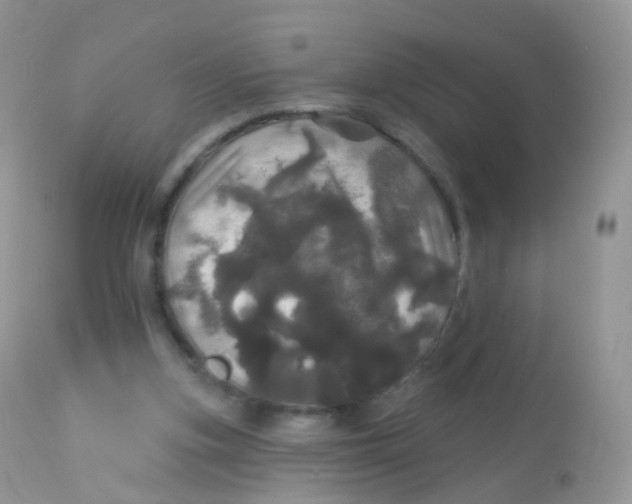 X0000113080155200909182058