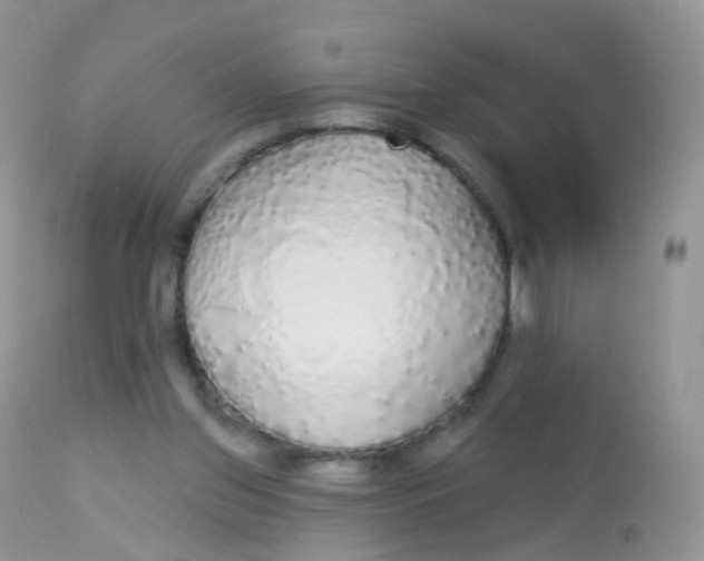 X0000113080157200909182058