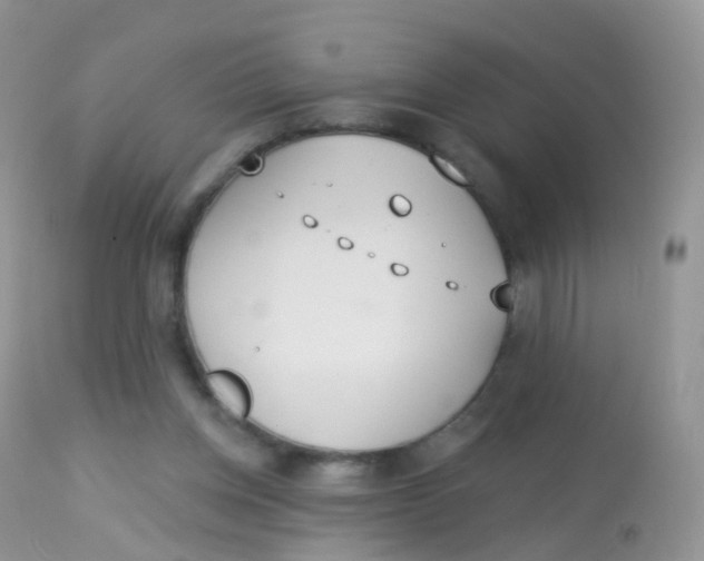 X0000113080158200909182058