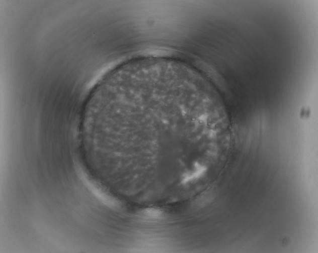 X0000113080159200909182058