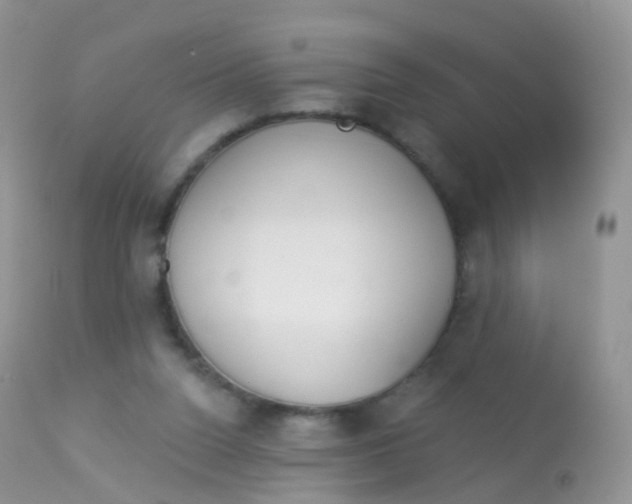 X0000113080160200909182058
