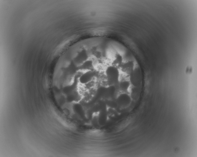 X0000113080161200909182058