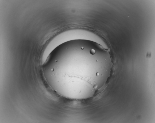 X0000113080162200909182058