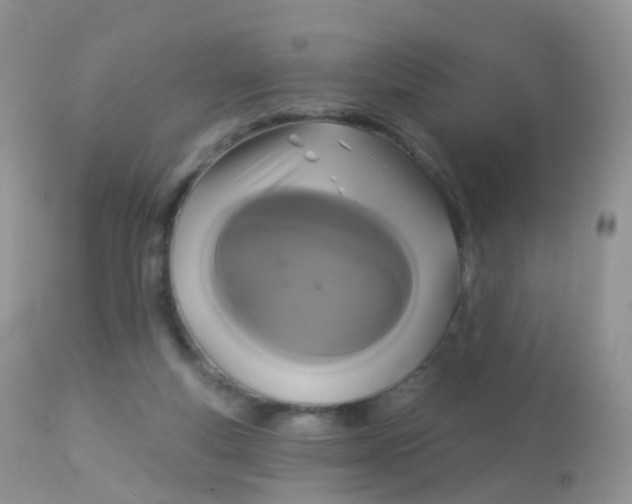X0000113080163200909182058