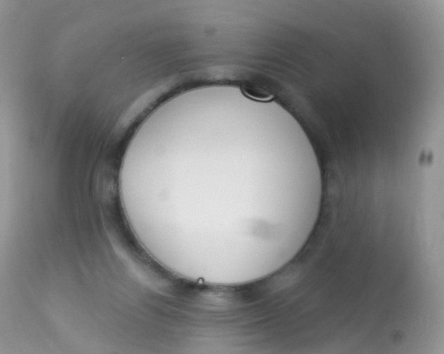X0000113080164200909182058