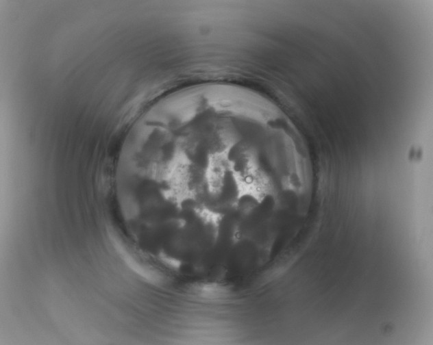 X0000113080165200909182058