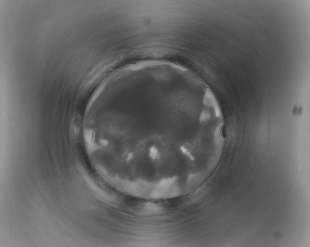 X0000113080166200909182058