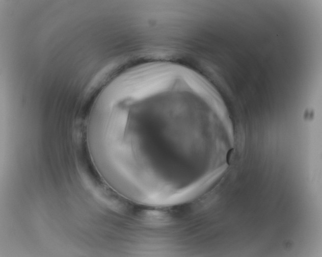 X0000113080167200909182058