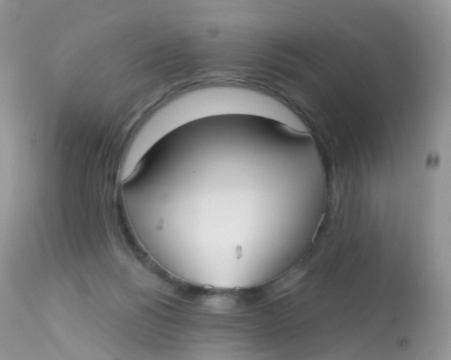 X0000113080168200909182058