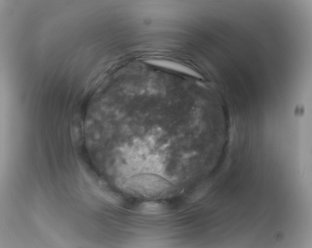 X0000113080169200909182058