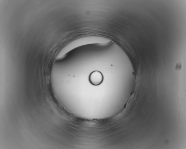 X0000113080170200909182058
