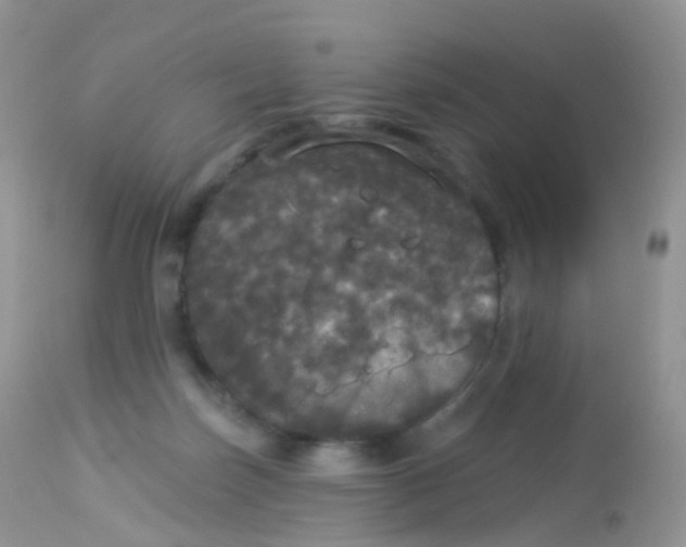 X0000113080171200909182058