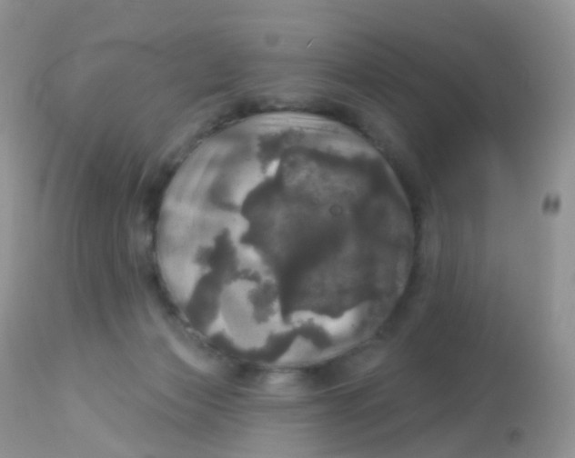 X0000113080173200909182058