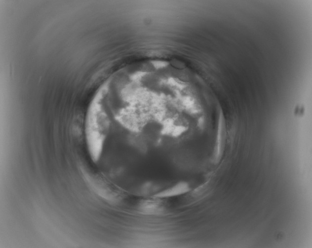 X0000113080175200909182058
