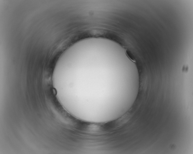 X0000113080176200909182058
