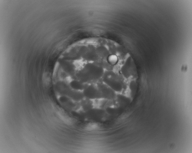 X0000113080177200909182058