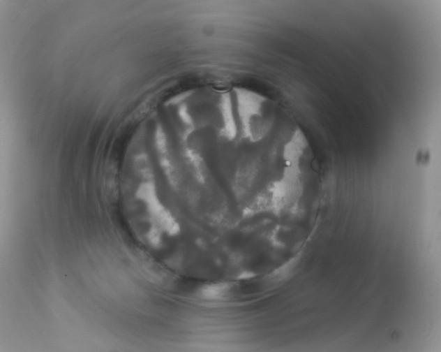 X0000113080178200909182058