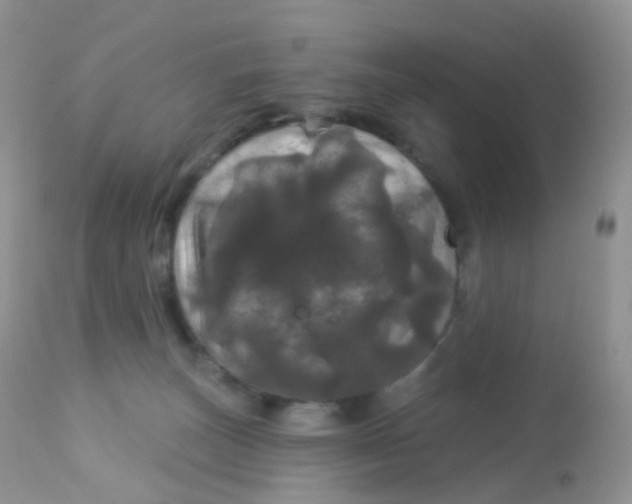 X0000113080179200909182058
