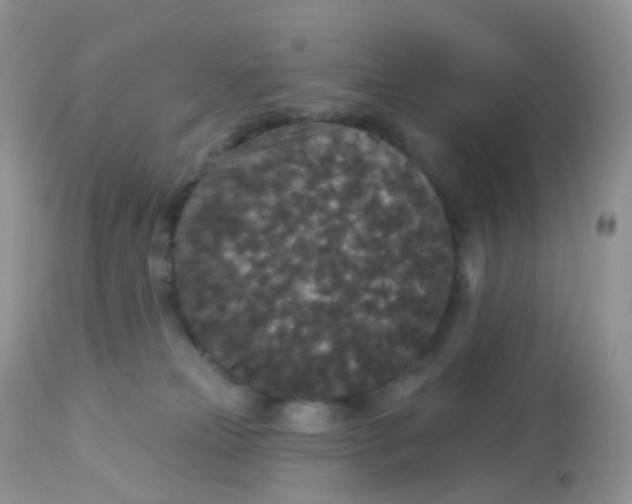 X0000113080181200909182058