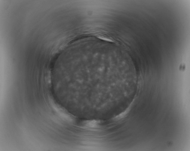 X0000113080182200909182058