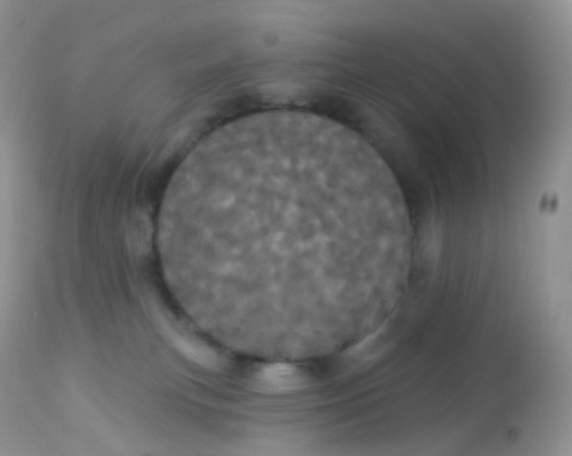 X0000113080183200909182058