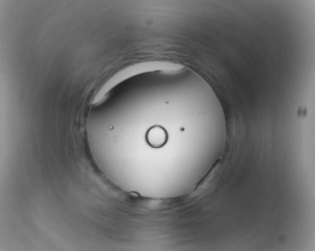 X0000113080184200909182058