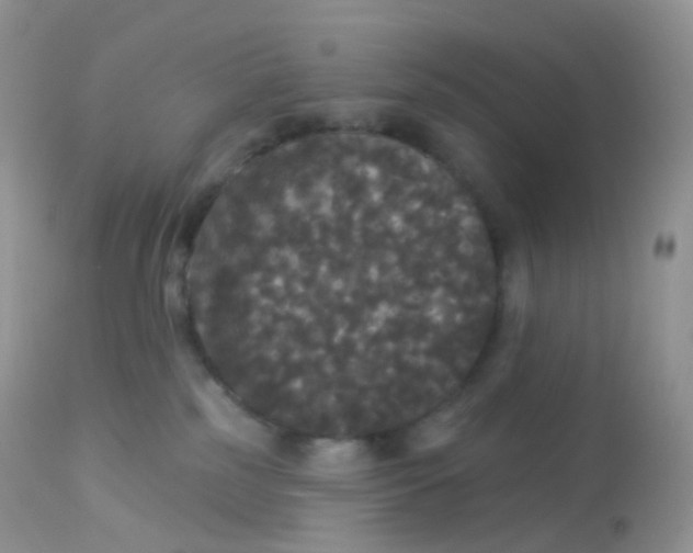 X0000113080185200909182058