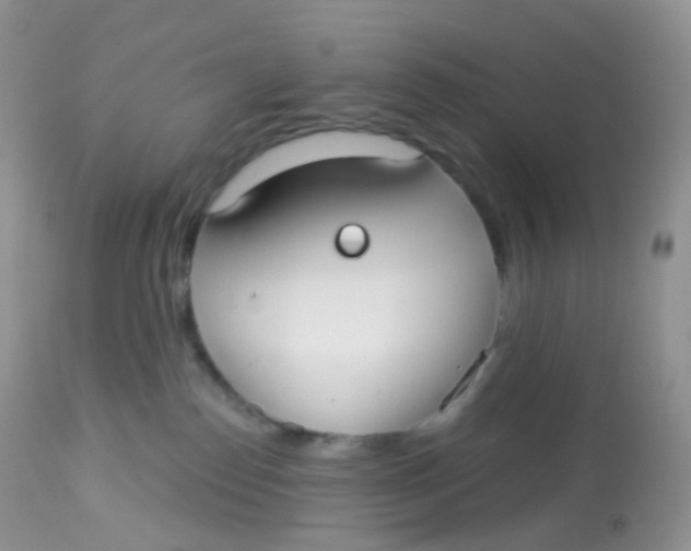X0000113080186200909182058