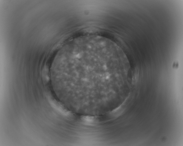 X0000113080187200909182058