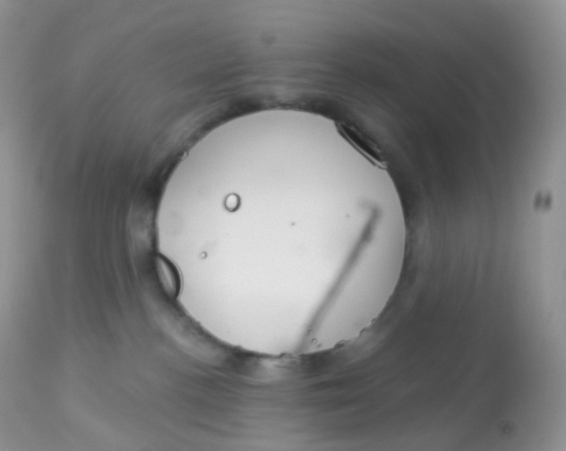 X0000113080188200909182058