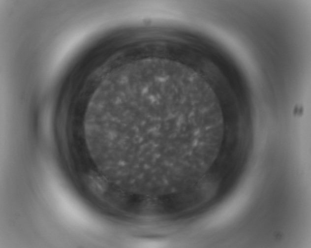 X0000113080189200909182058