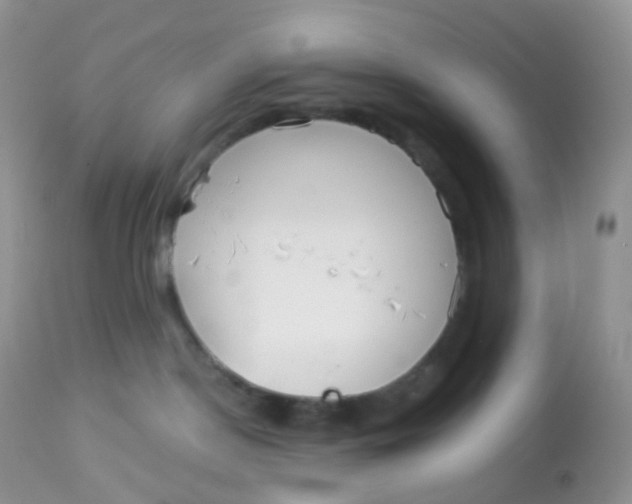 X0000113080190200909182058