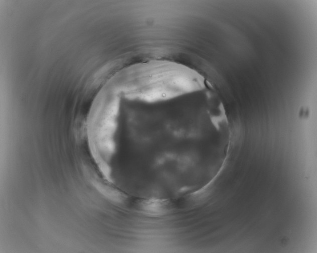 X0000113080191200909182058