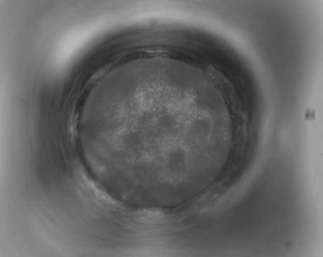 X0000113080194200909182057