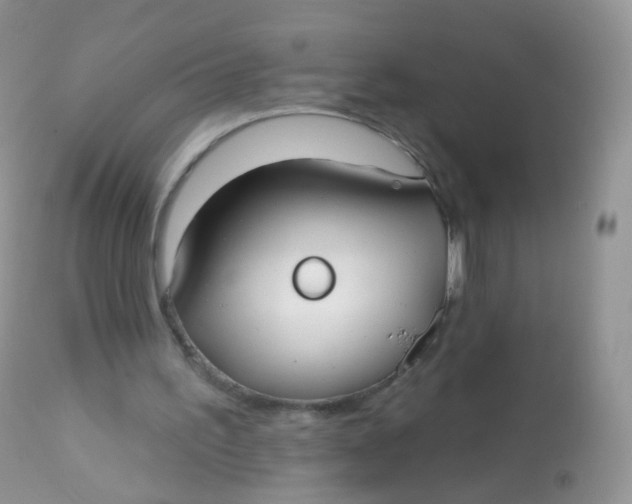X0000113080195200909182057