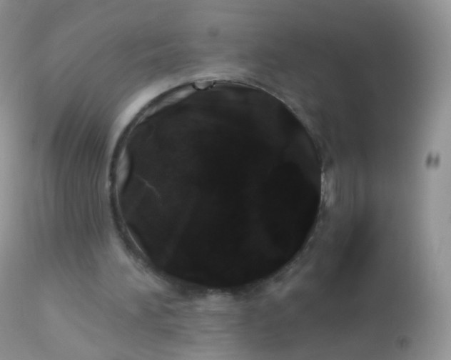 X0000113080196200909182057