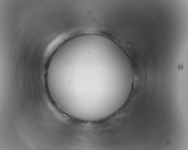 X0000113080197200909182057