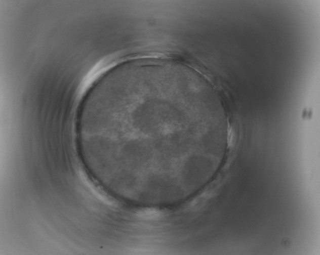 X0000113080198200909182057