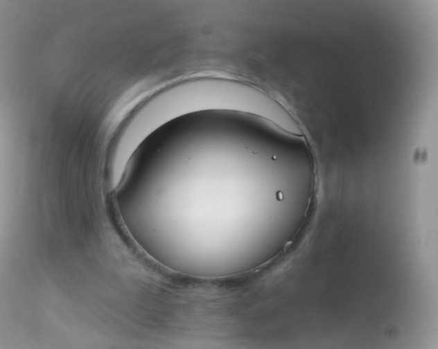 X0000113080199200909182057