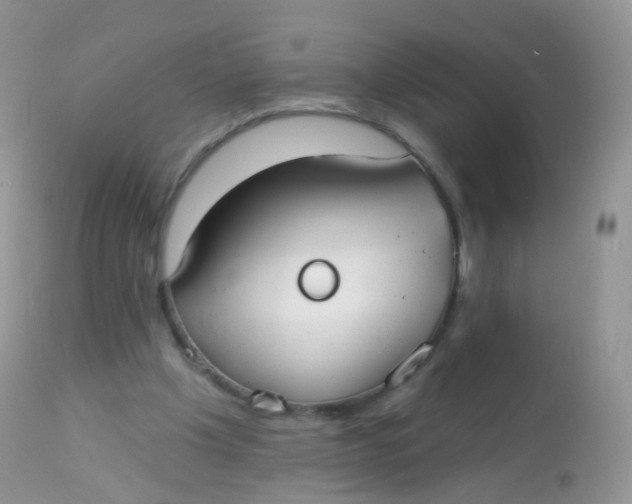 X0000113080201200909182057