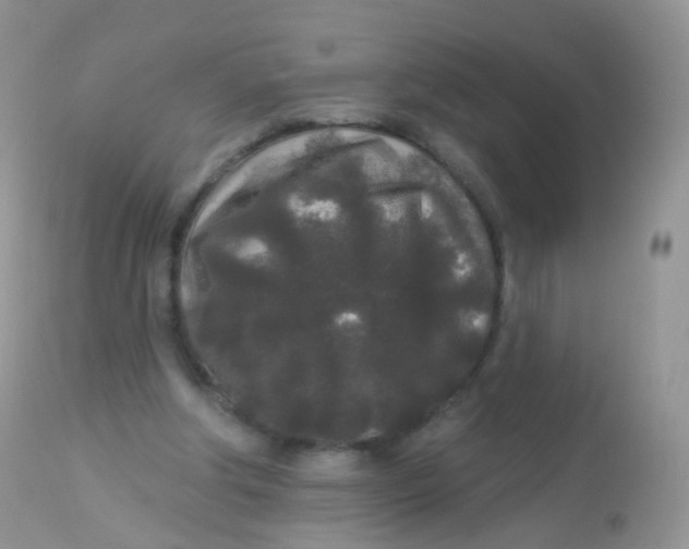 X0000113080202200909182057