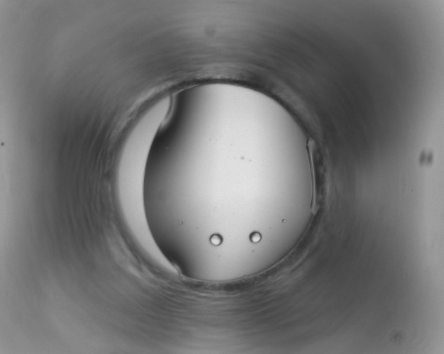 X0000113080203200909182057
