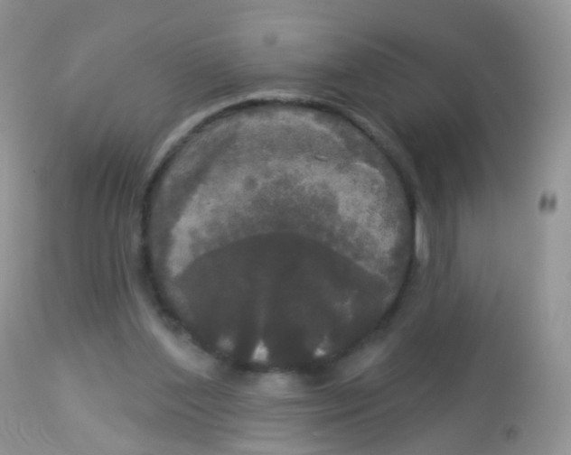 X0000113080204200909182057