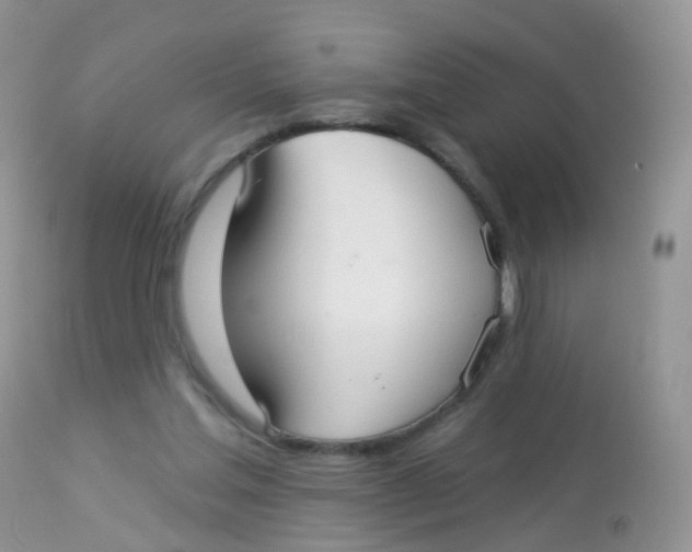 X0000113080205200909182057
