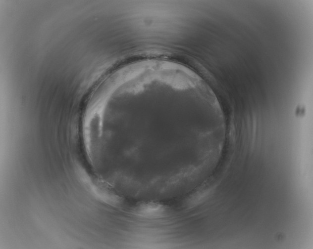 X0000113080206200909182057