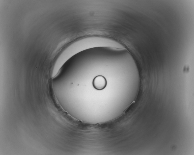 X0000113080207200909182057