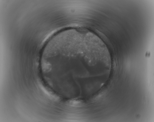 X0000113080208200909182057