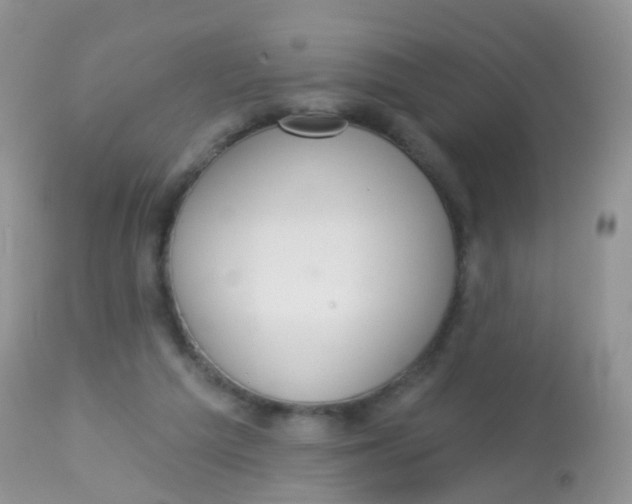 X0000113080209200909182057