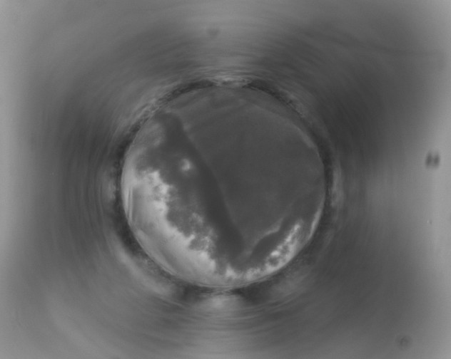X0000113080210200909182057
