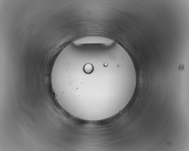 X0000113080211200909182057